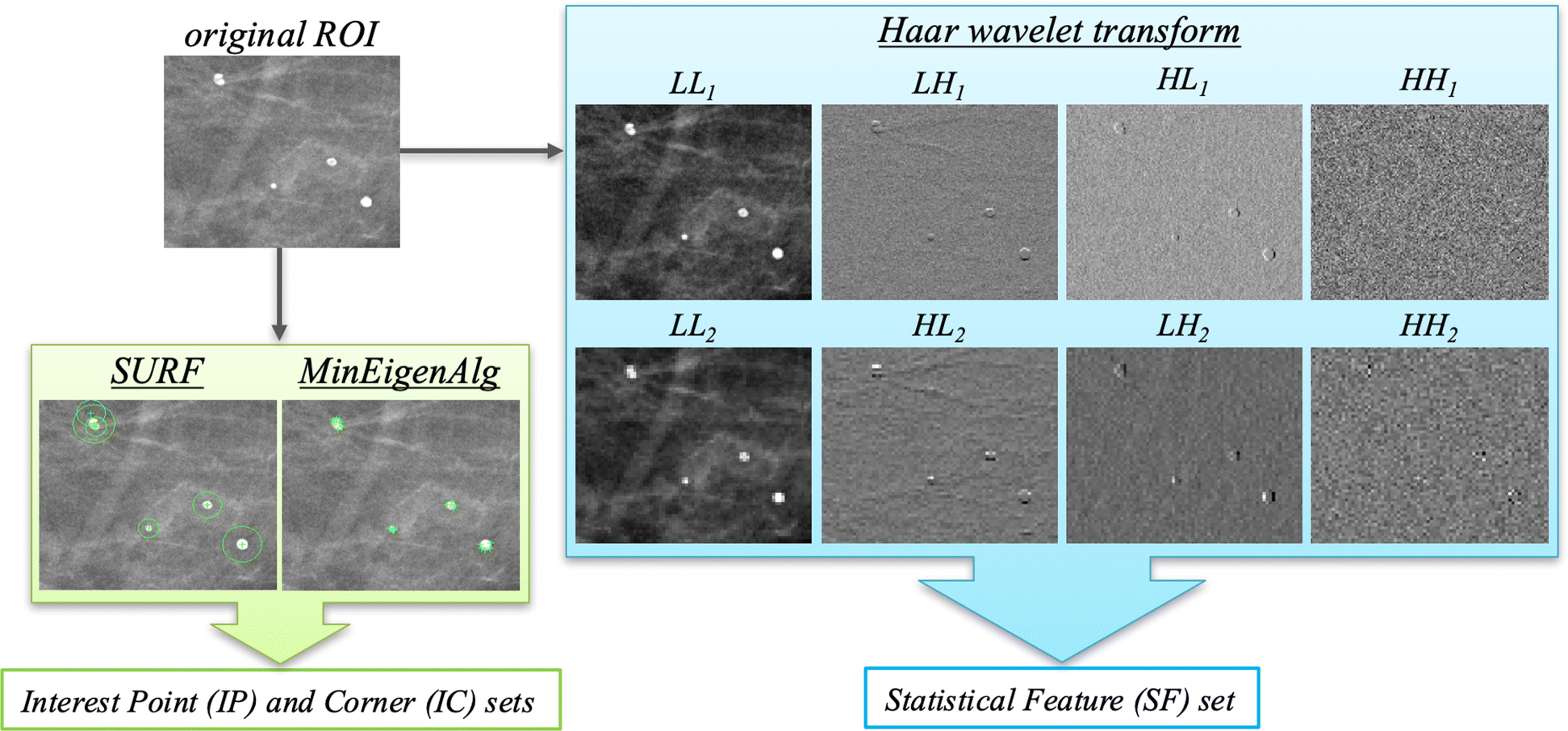 Fig. 4