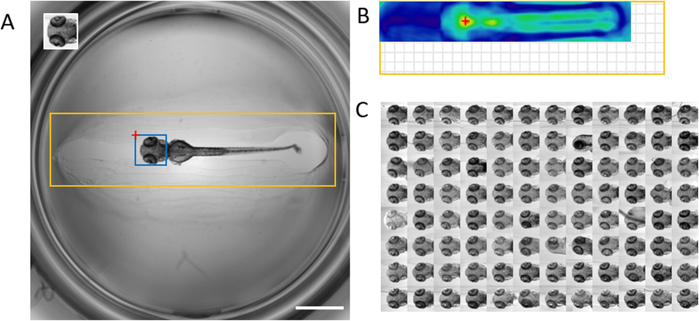 Fig. 1