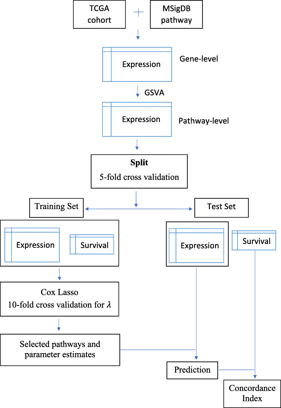 Fig. 1