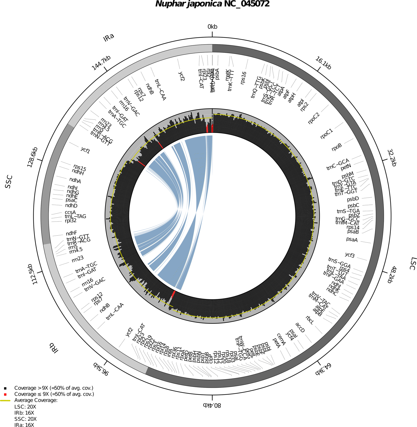 Fig. 2