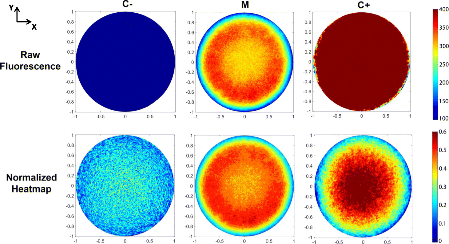 Fig. 3