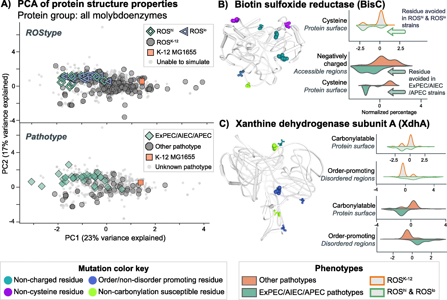 Fig. 4