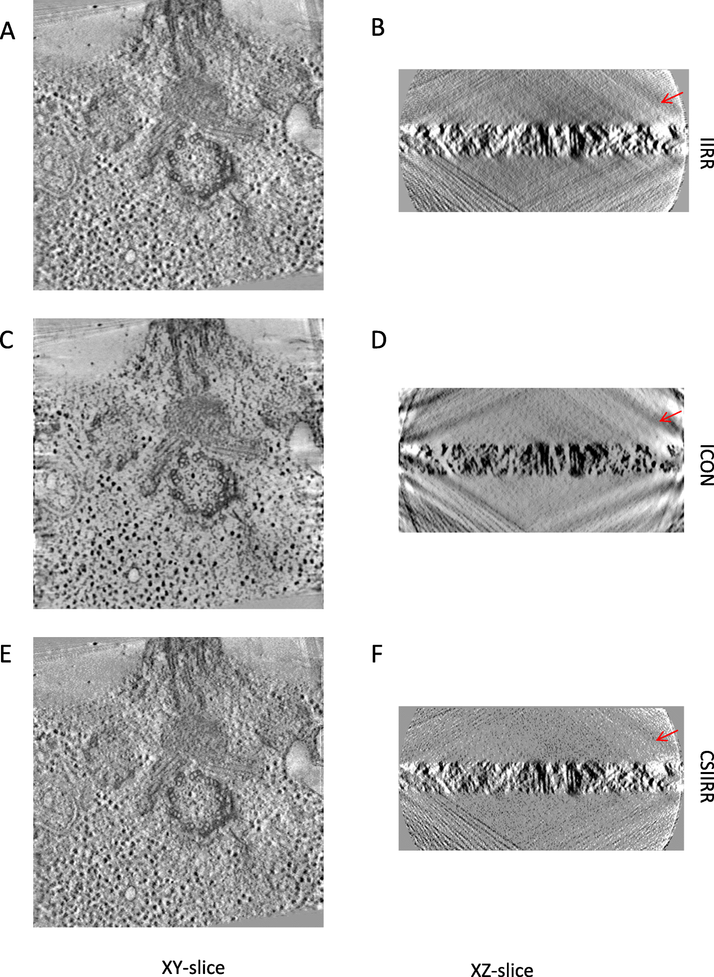 Fig. 7