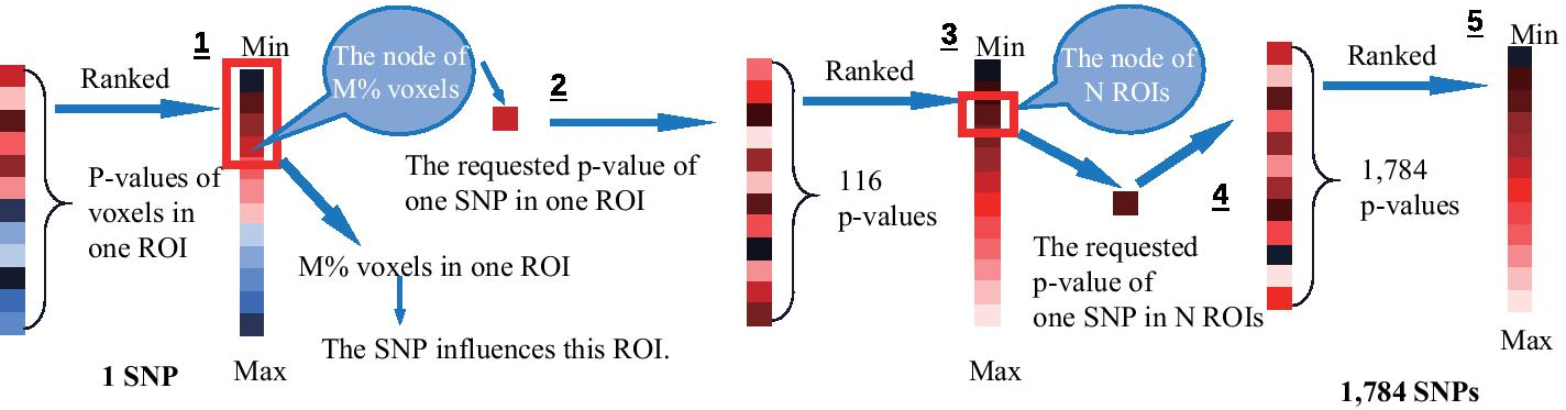 Fig. 10