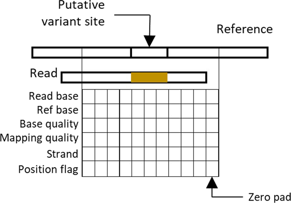 Fig. 10