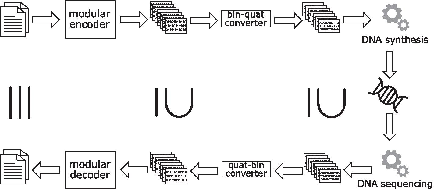 Fig. 9