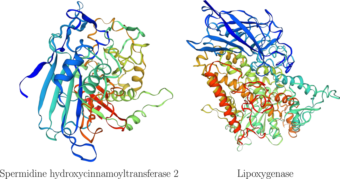 Fig. 8