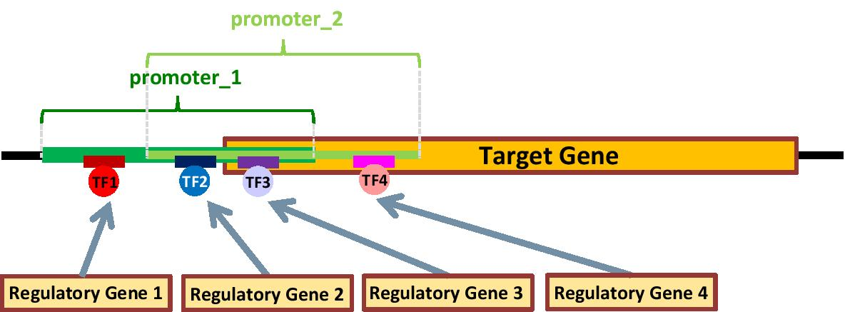 Fig. 1