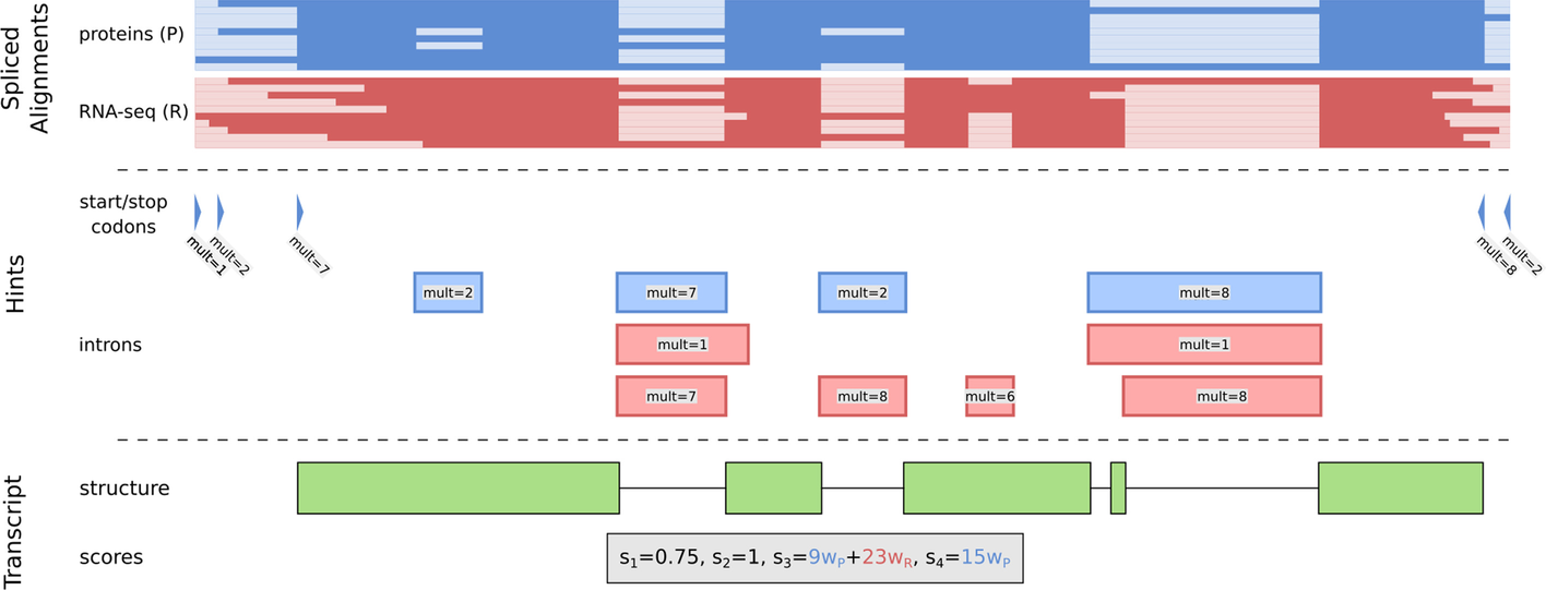 Fig. 1