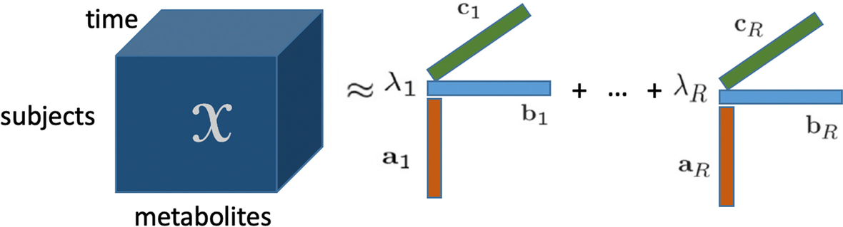 Fig. 1