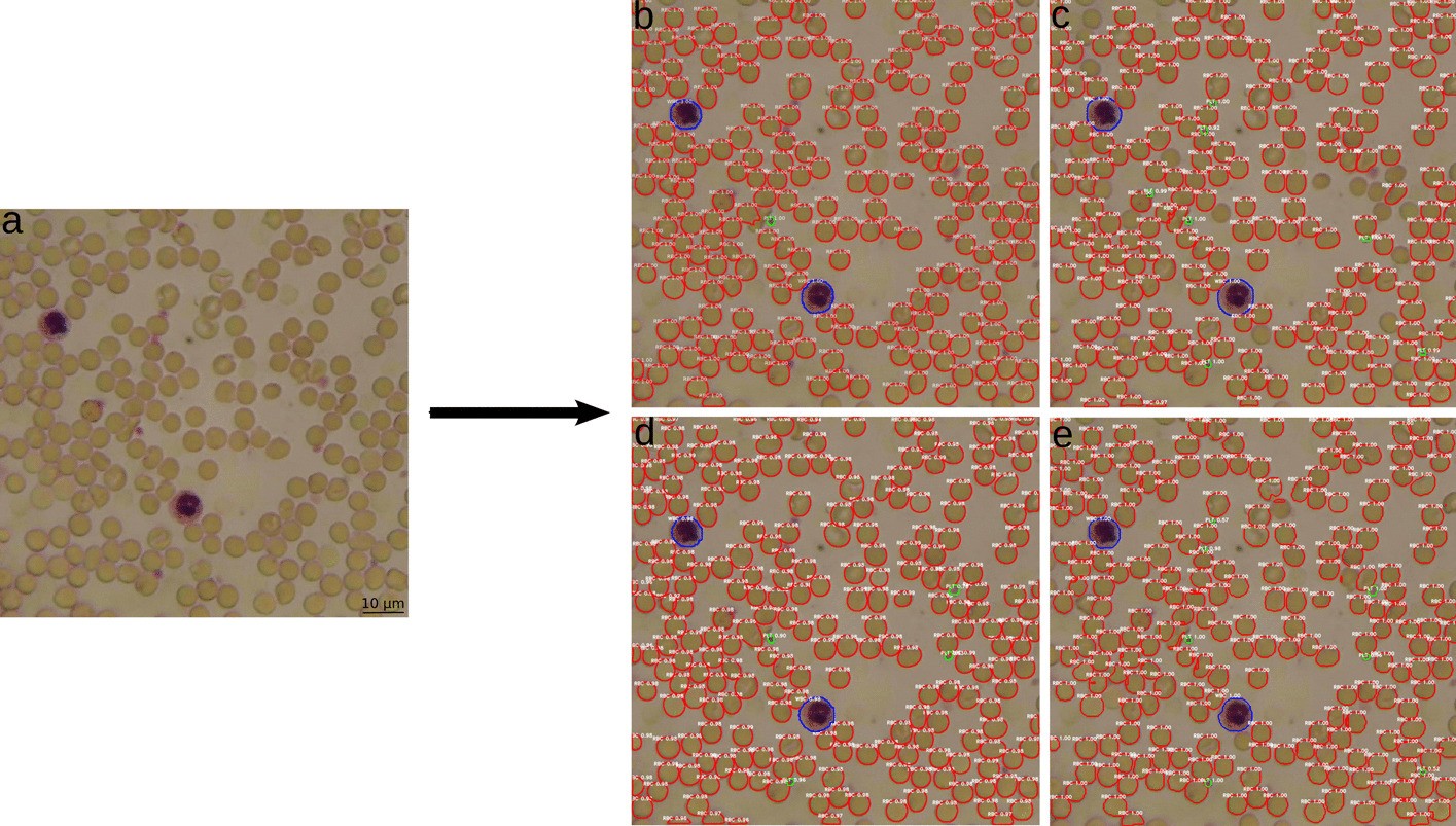 Fig. 2