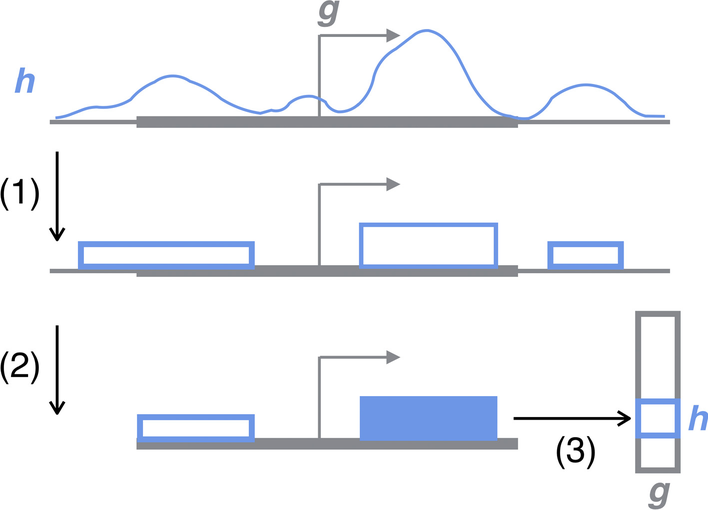 Fig. 1