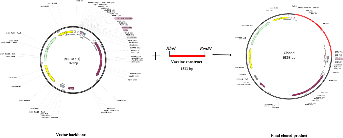 Fig. 11