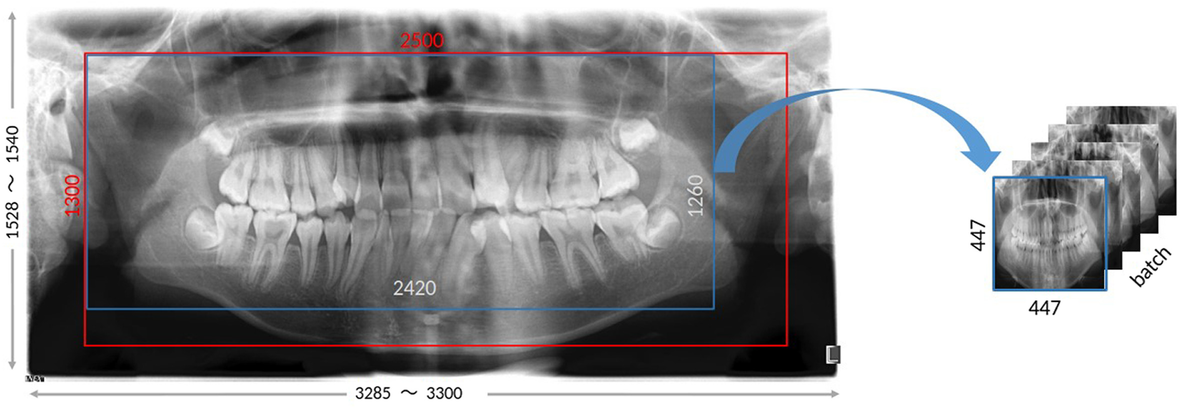 Fig. 6