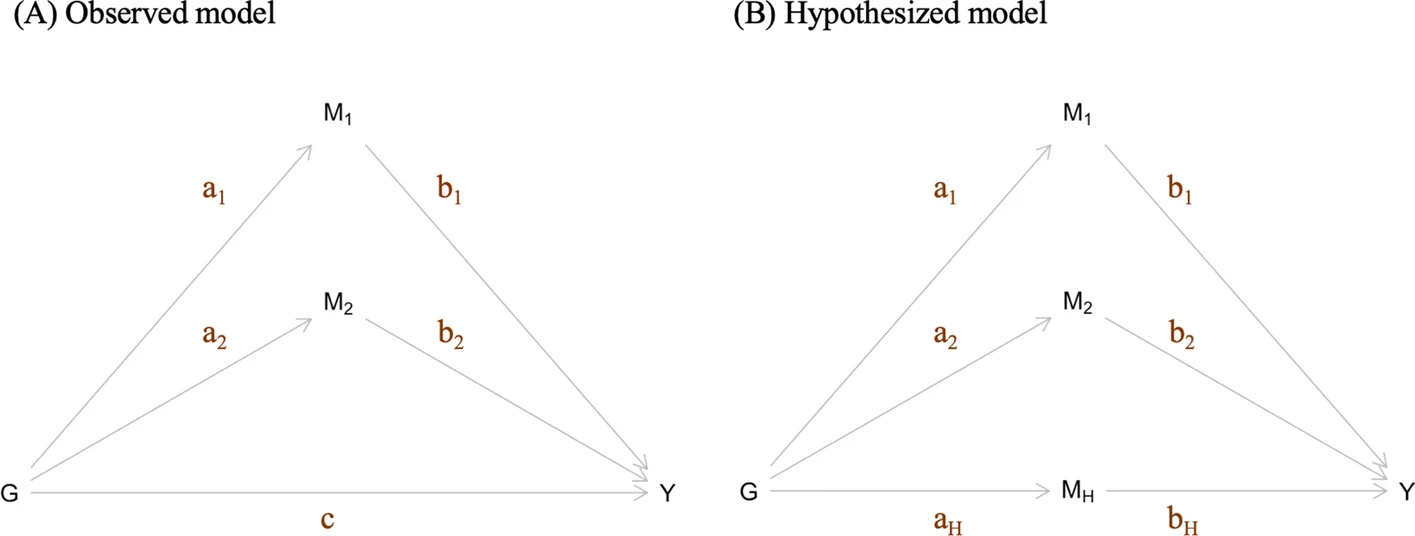 Estimating the effect size of a hidden causal factor between SNPs and a continuous trait: a mediation model approach