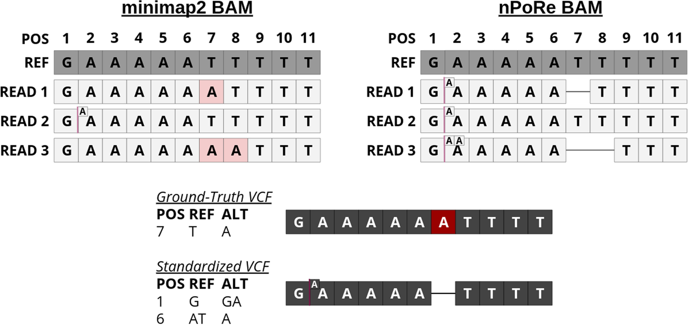 Fig. 12