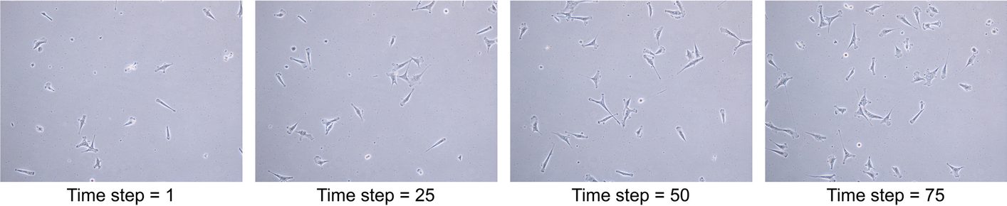 Fig. 7