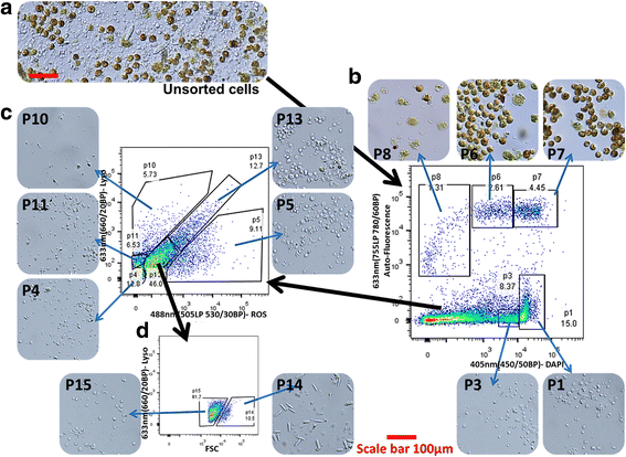 Fig. 4