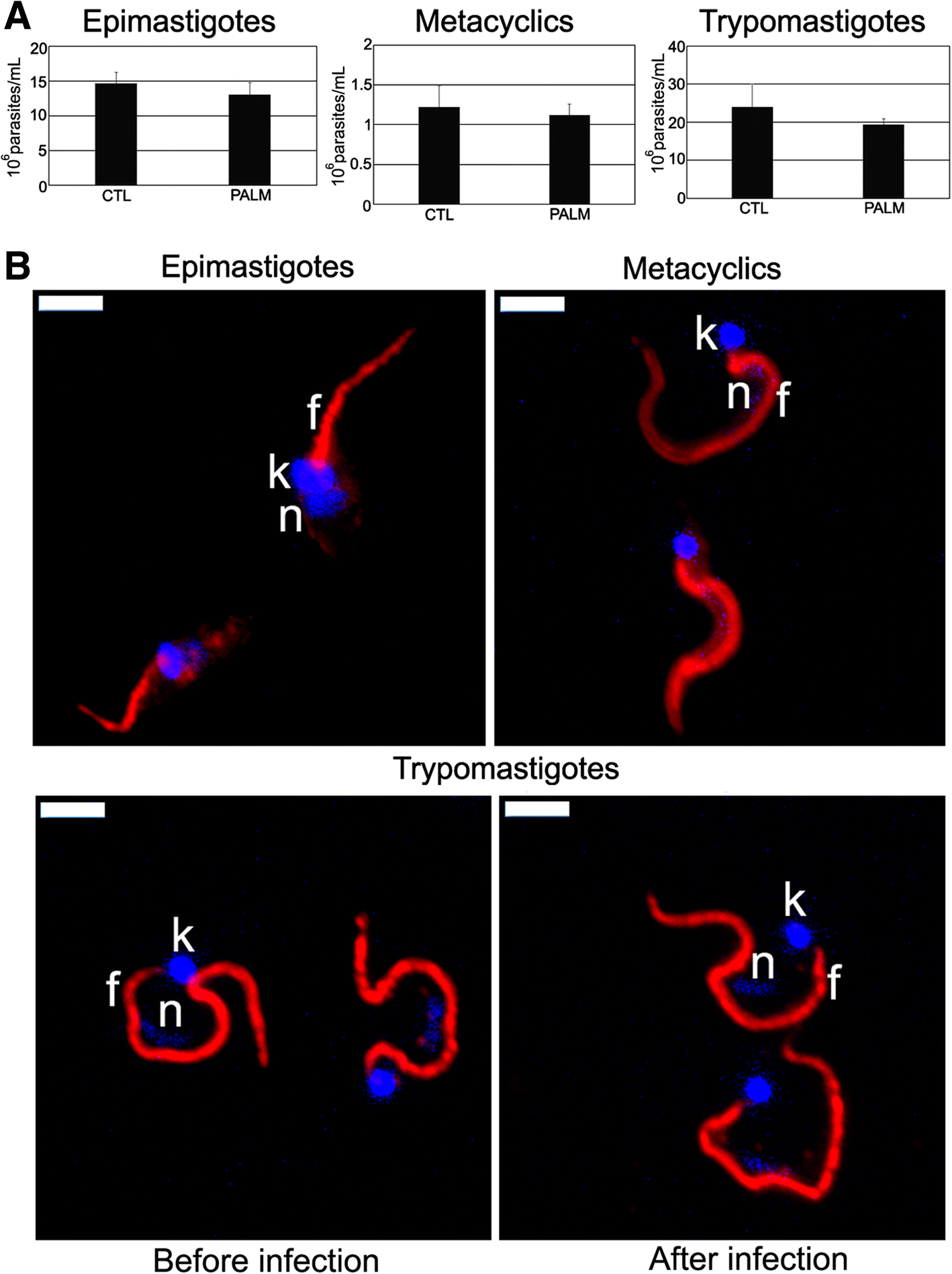 Fig. 10