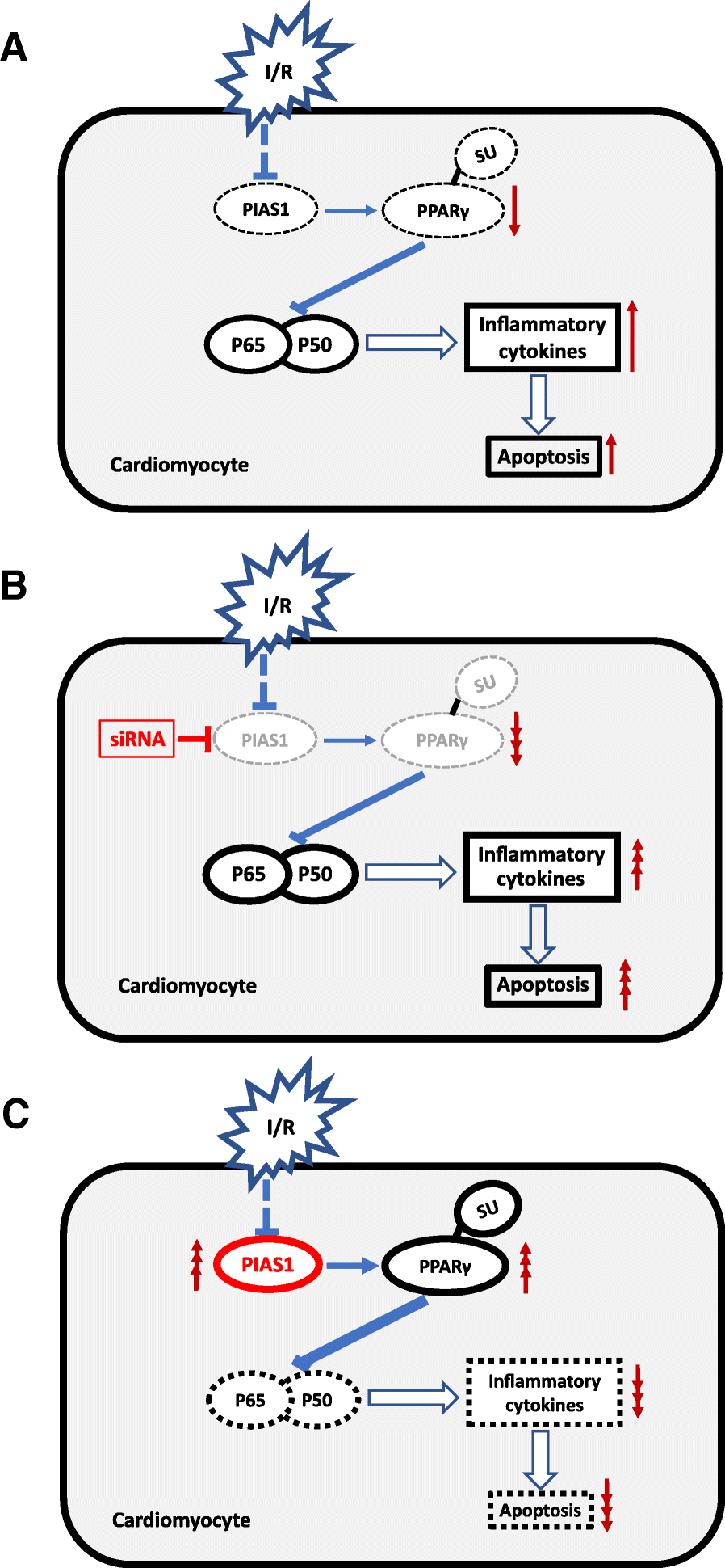 Fig. 6