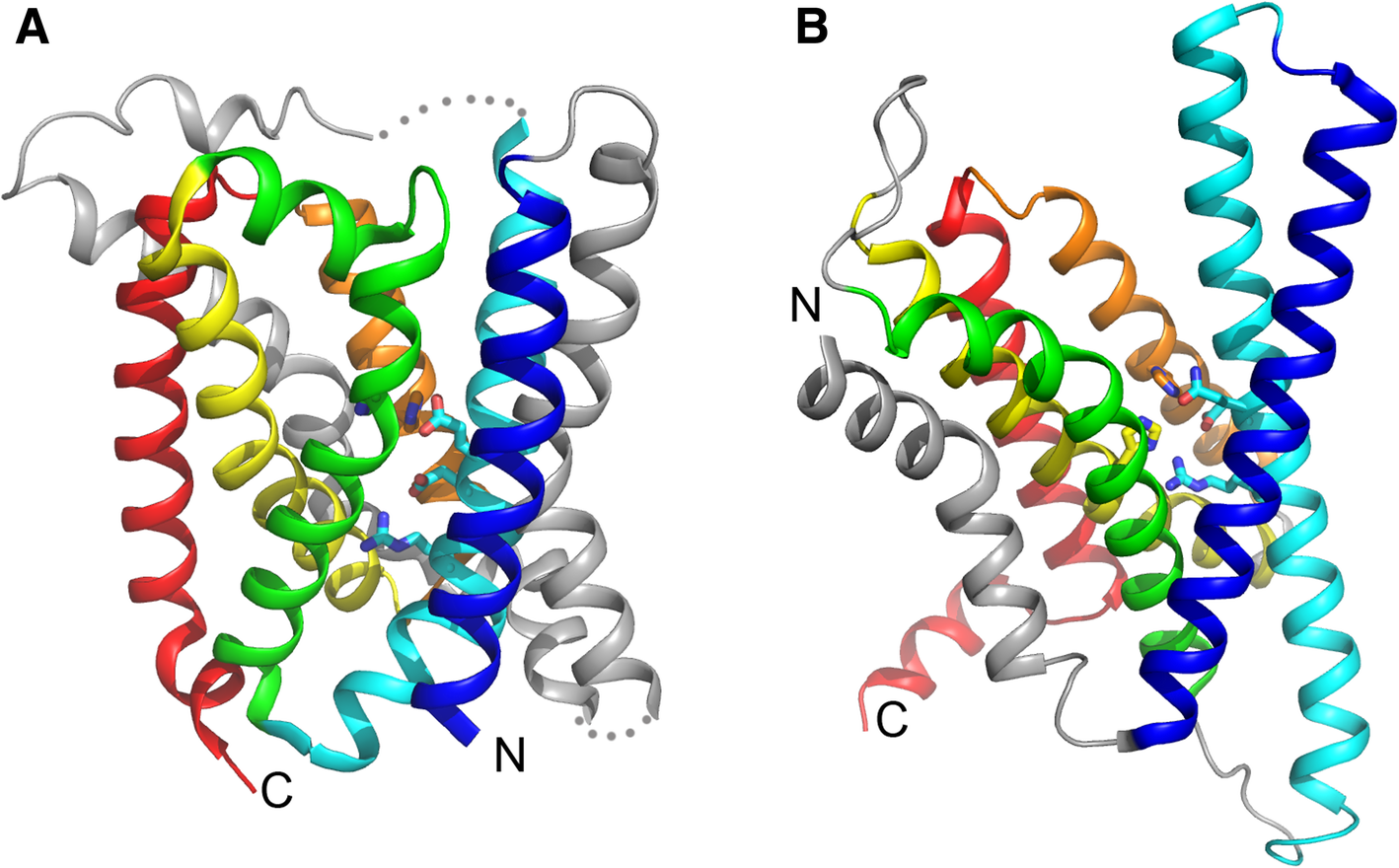 Fig. 2