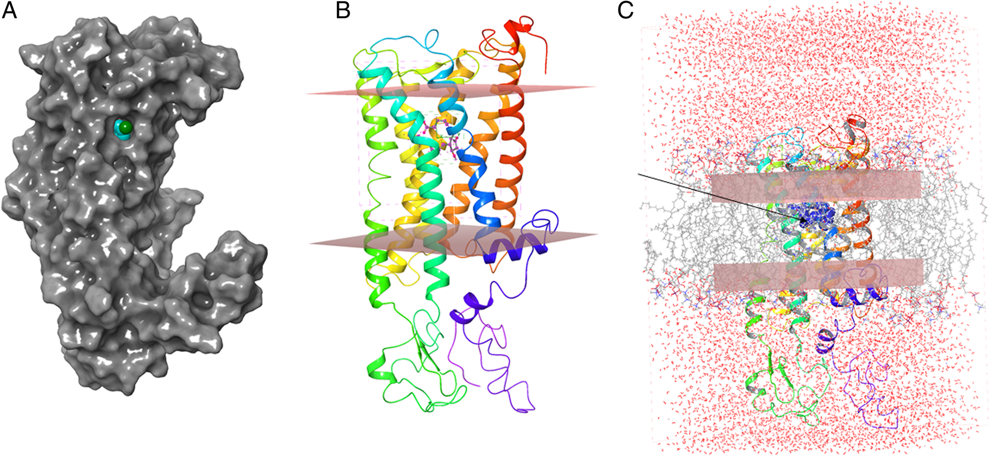 Fig. 2