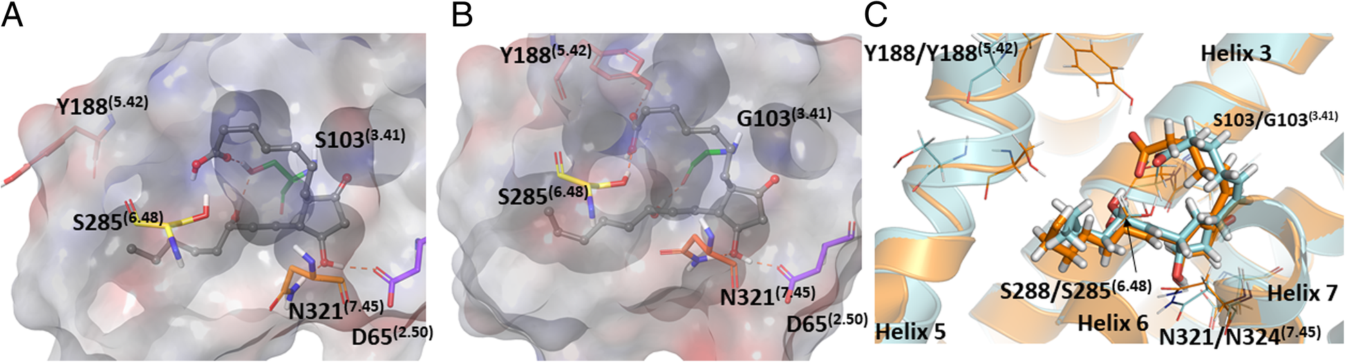 Fig. 7