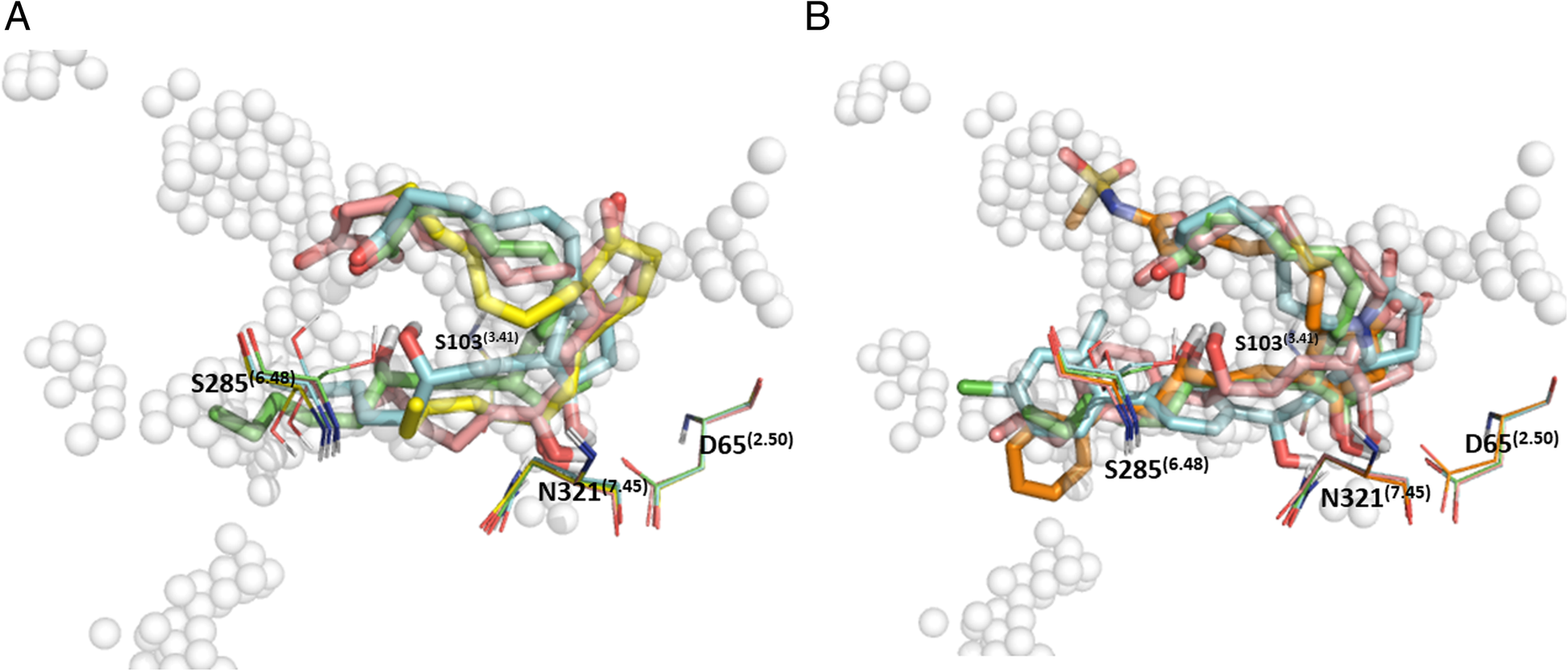 Fig. 9