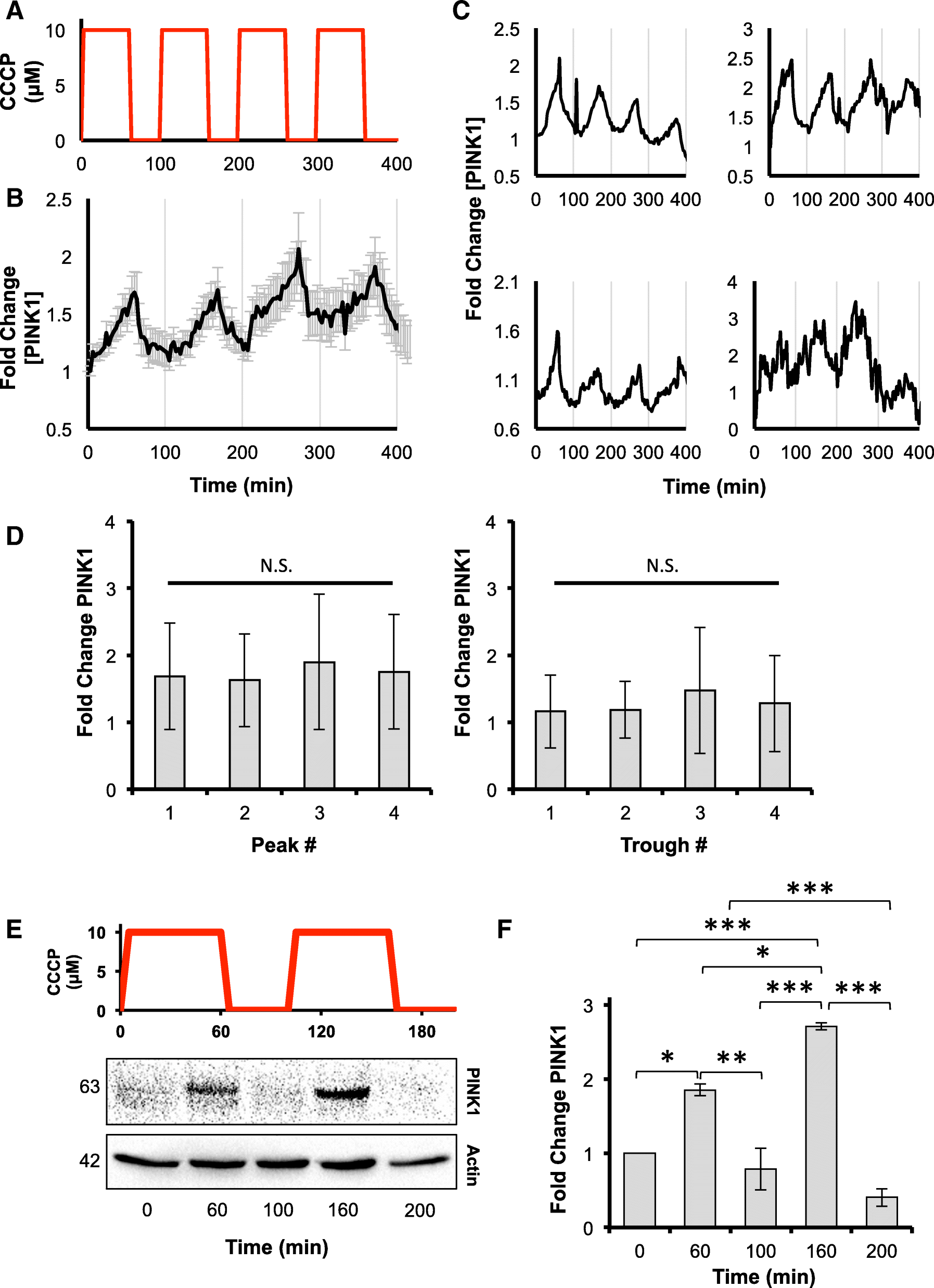 Fig. 8