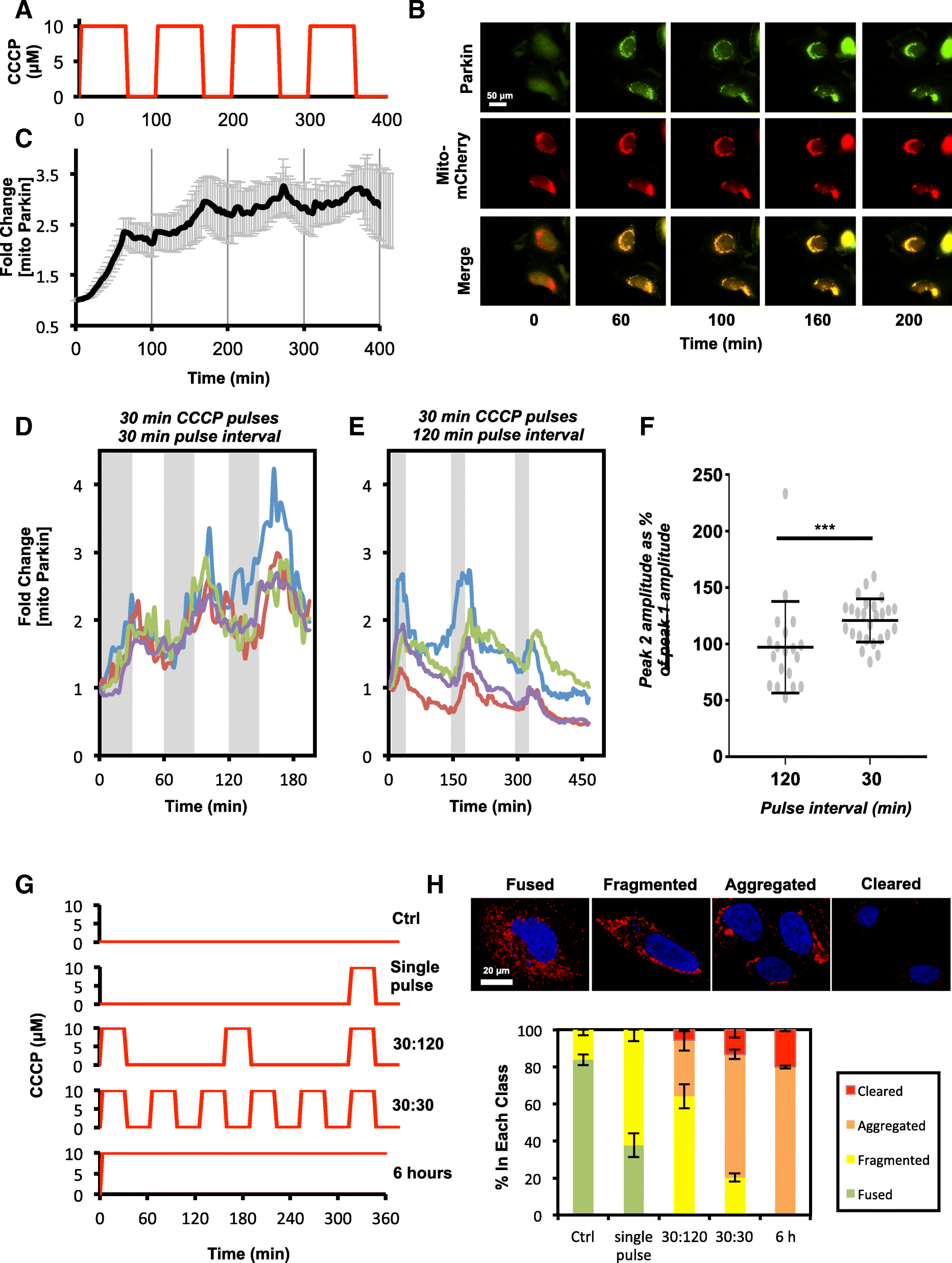 Fig. 9