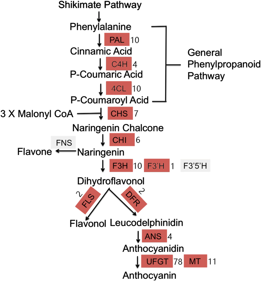 Fig. 7