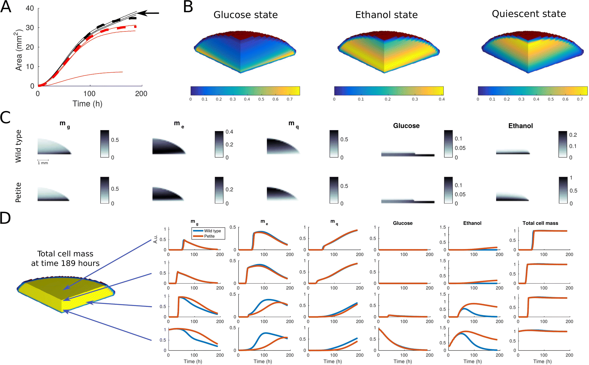 Fig. 3