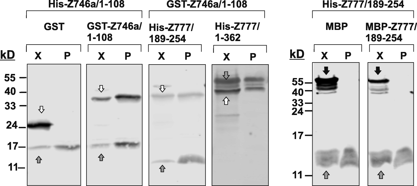 Fig. 9