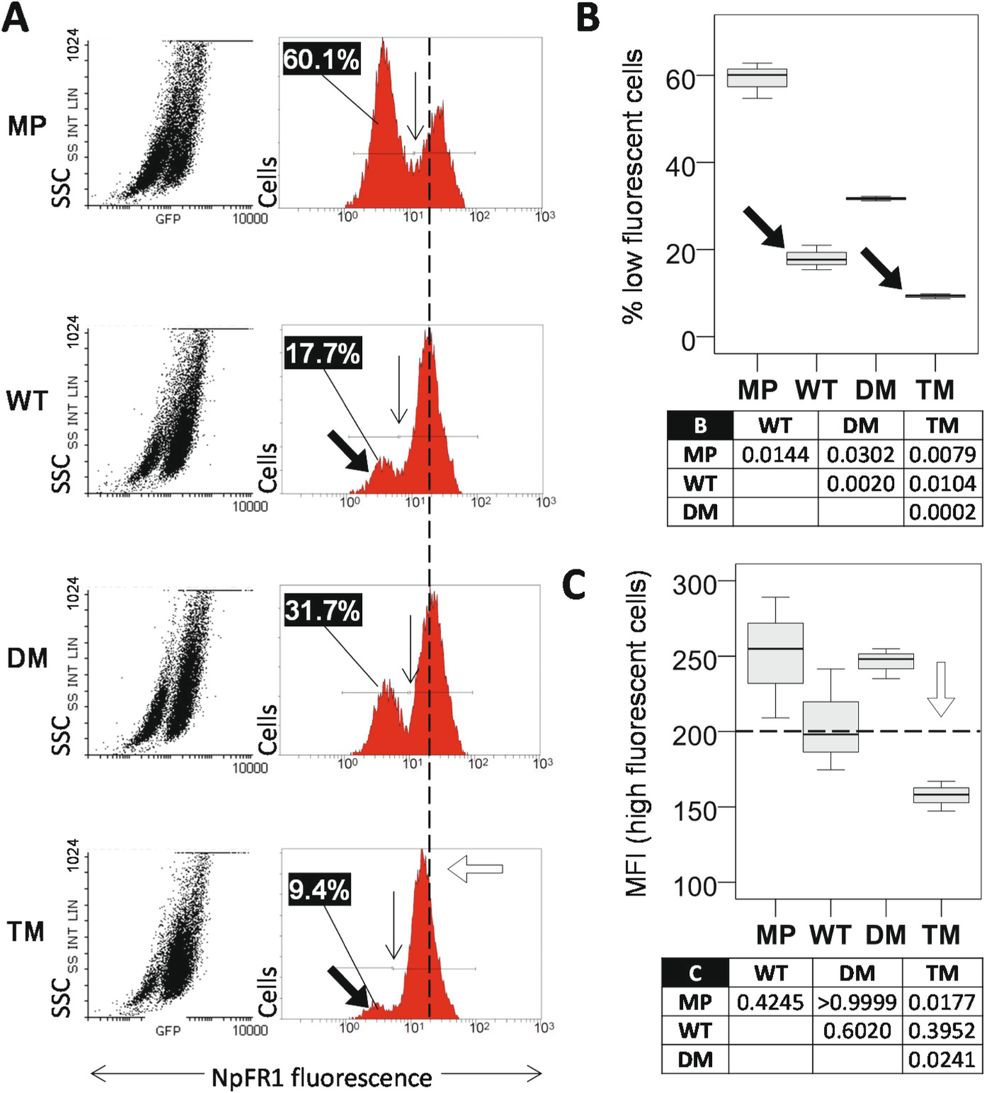 Fig. 3