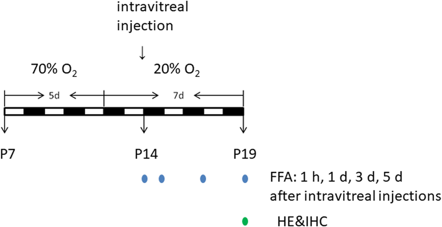 Fig. 11