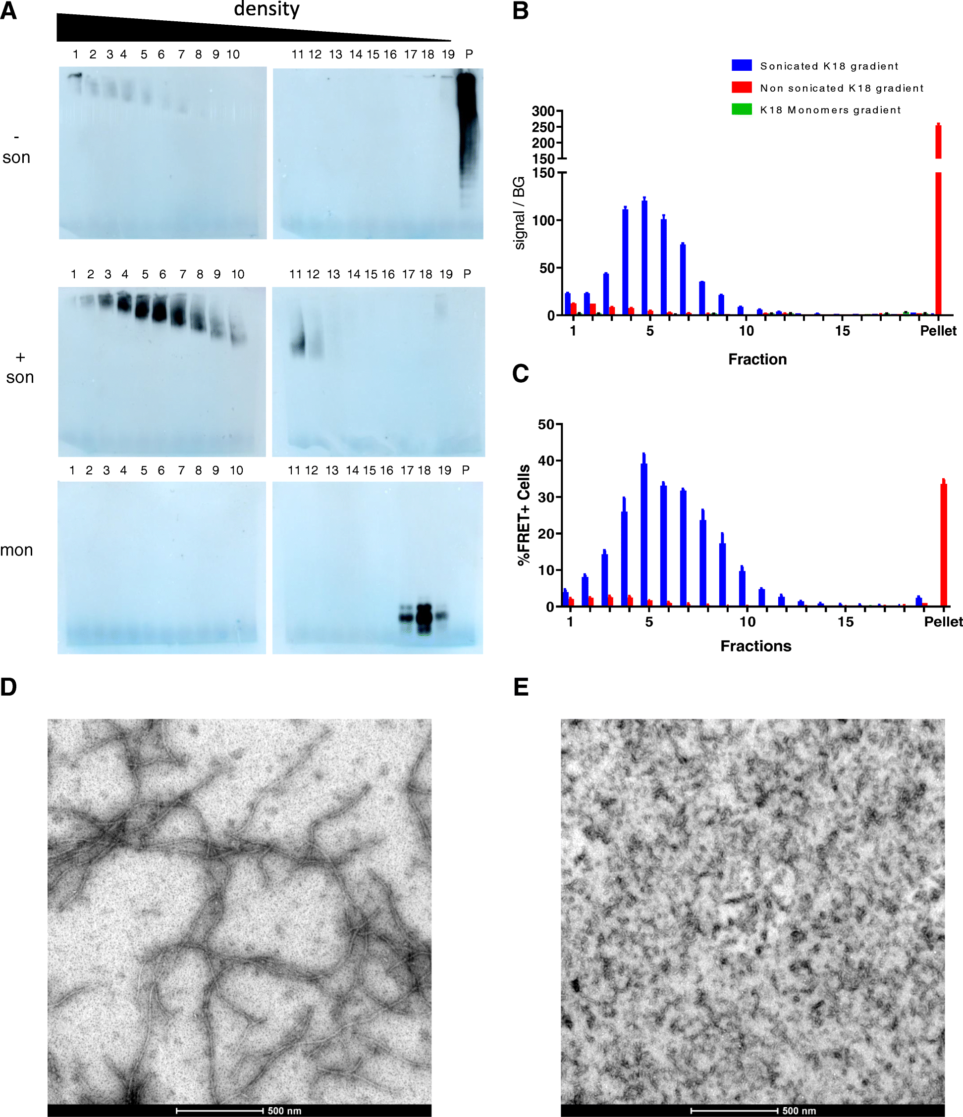 Fig. 5