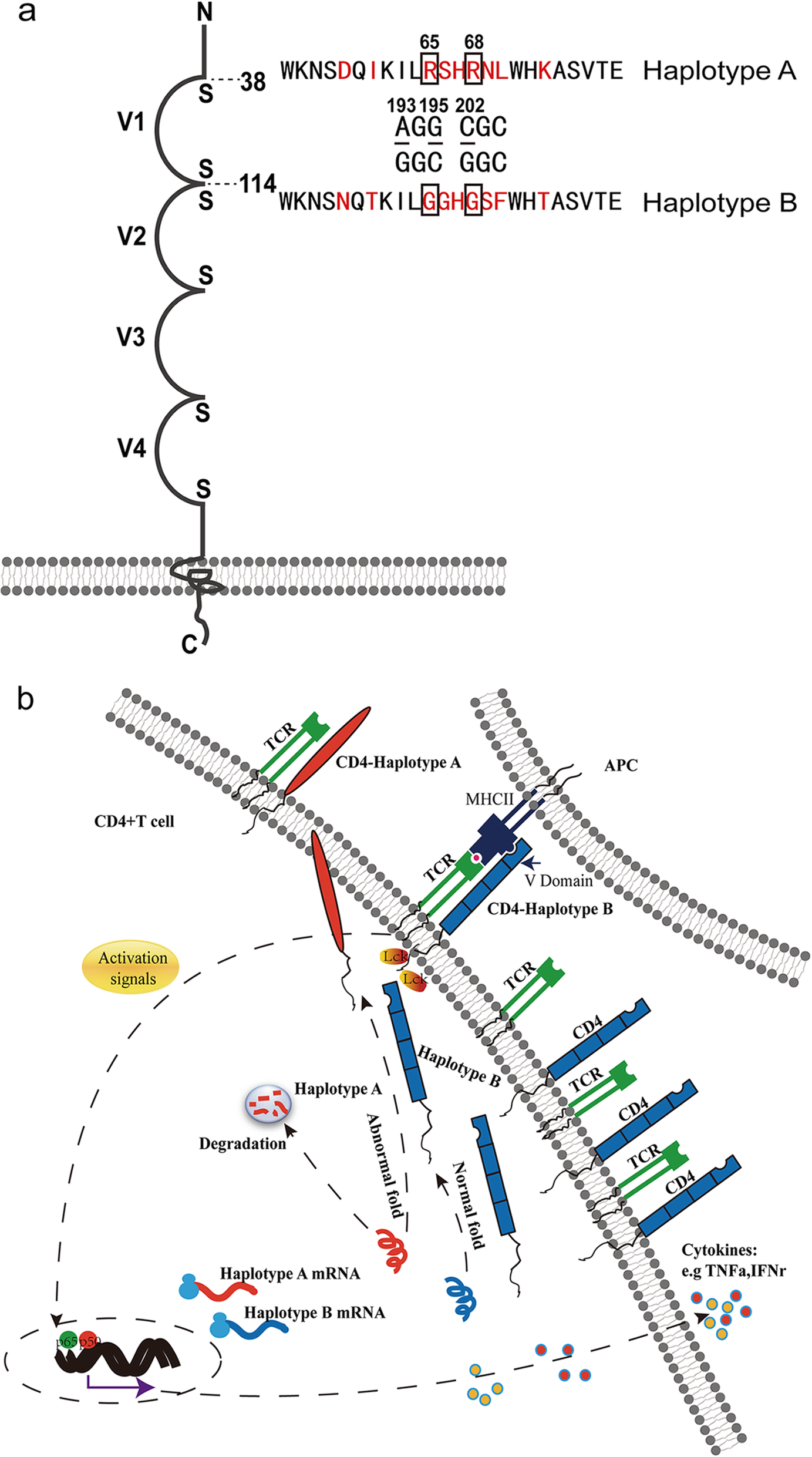 Fig. 6