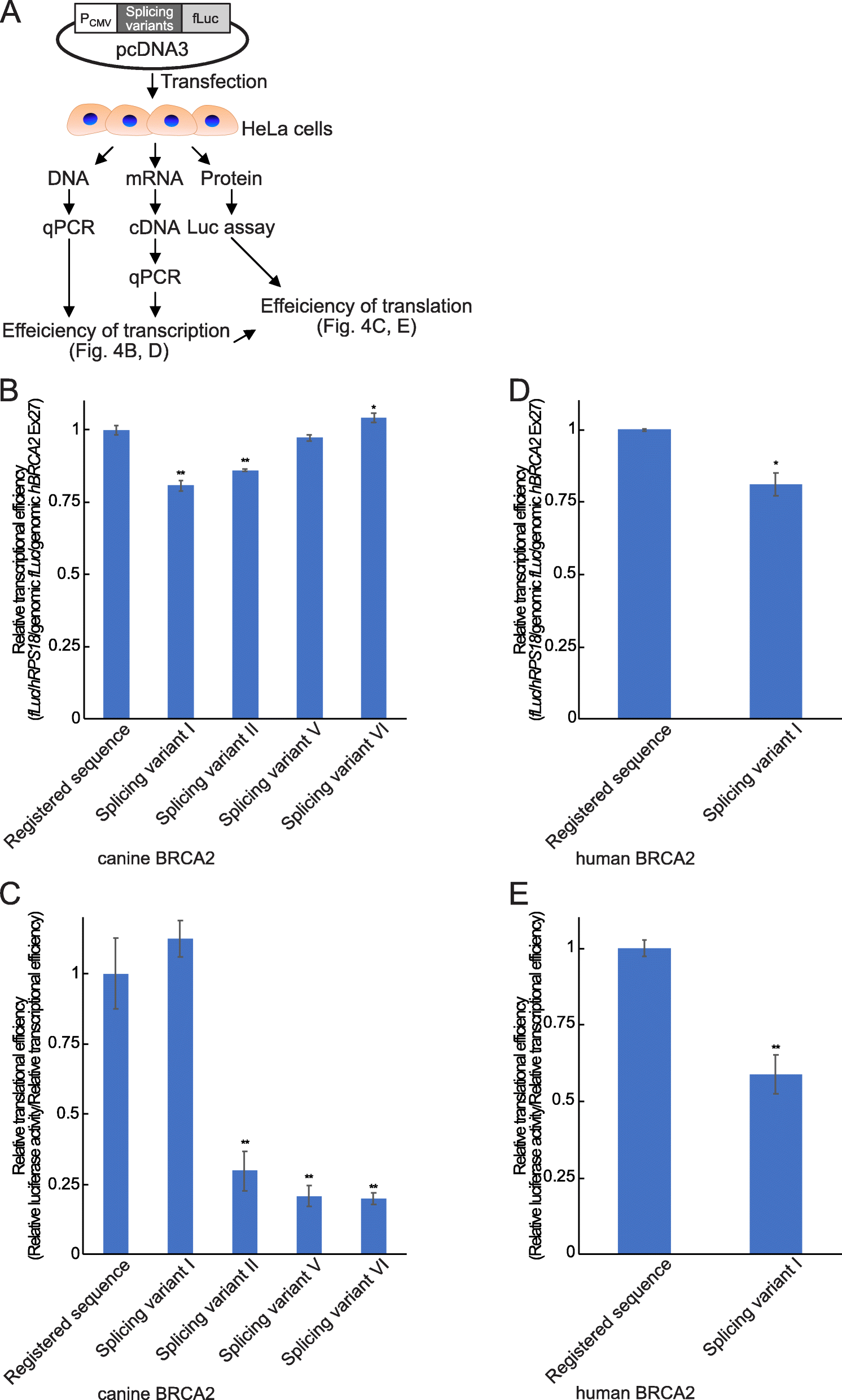 Fig. 4