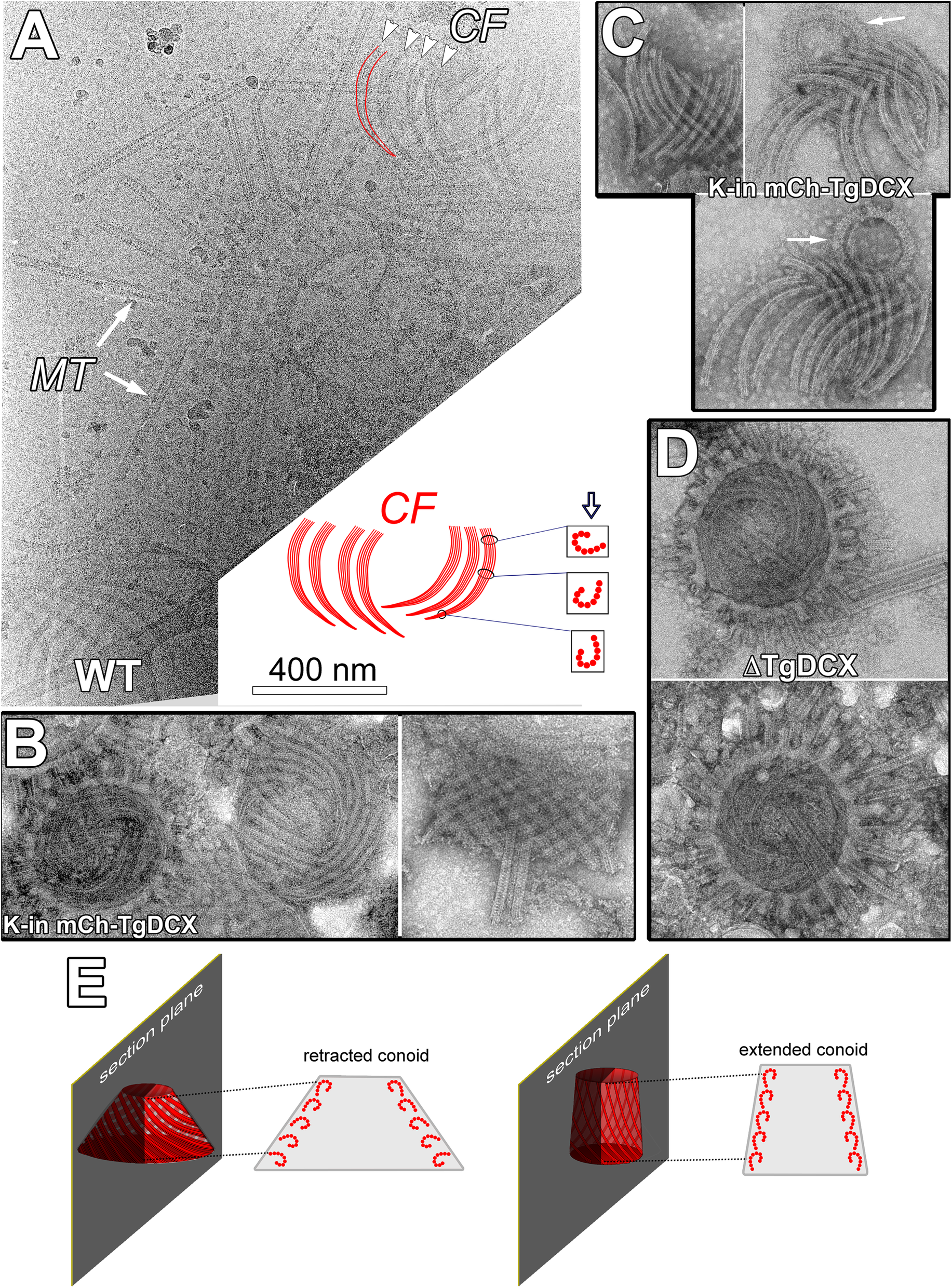 Fig. 2