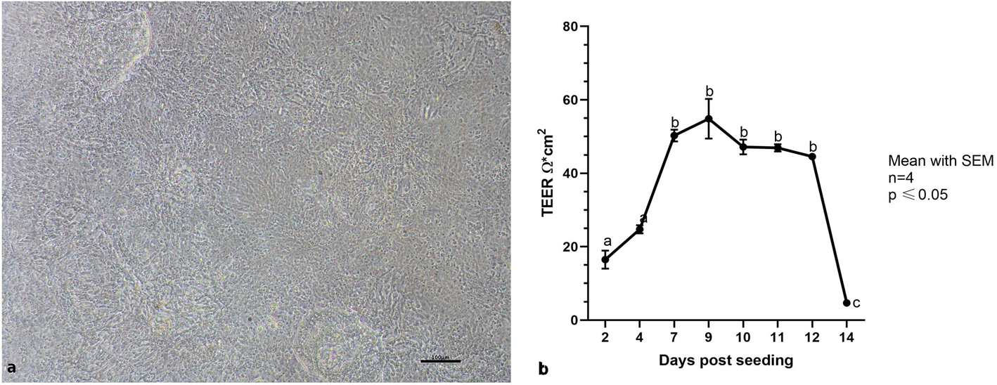 Fig. 12