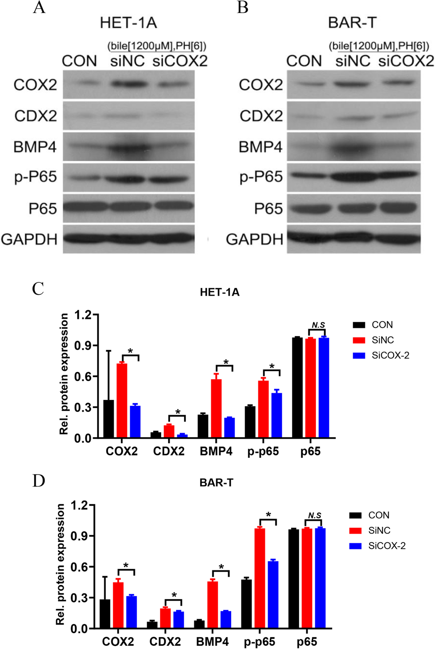 Fig. 9