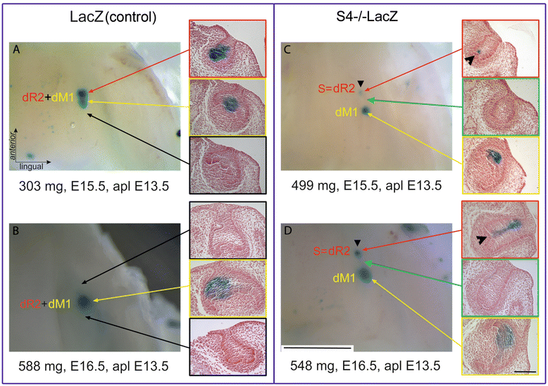 Figure 4