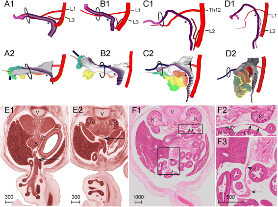 Fig. 10