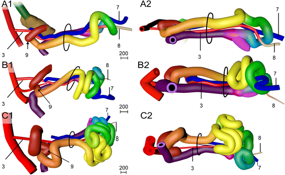 Fig. 4