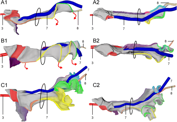 Fig. 5