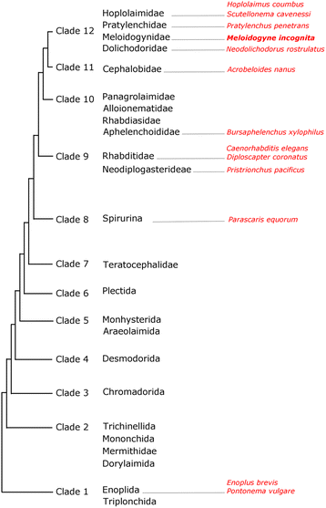 Fig. 9