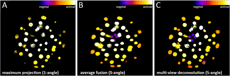 Fig. 4