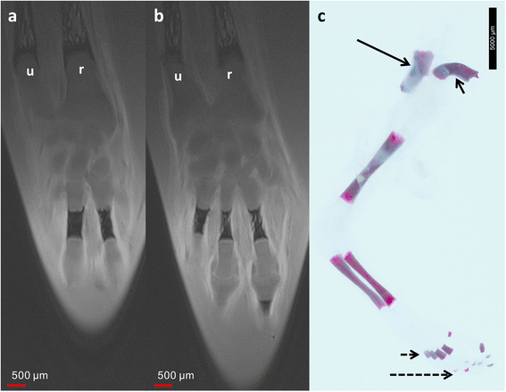 Fig. 5