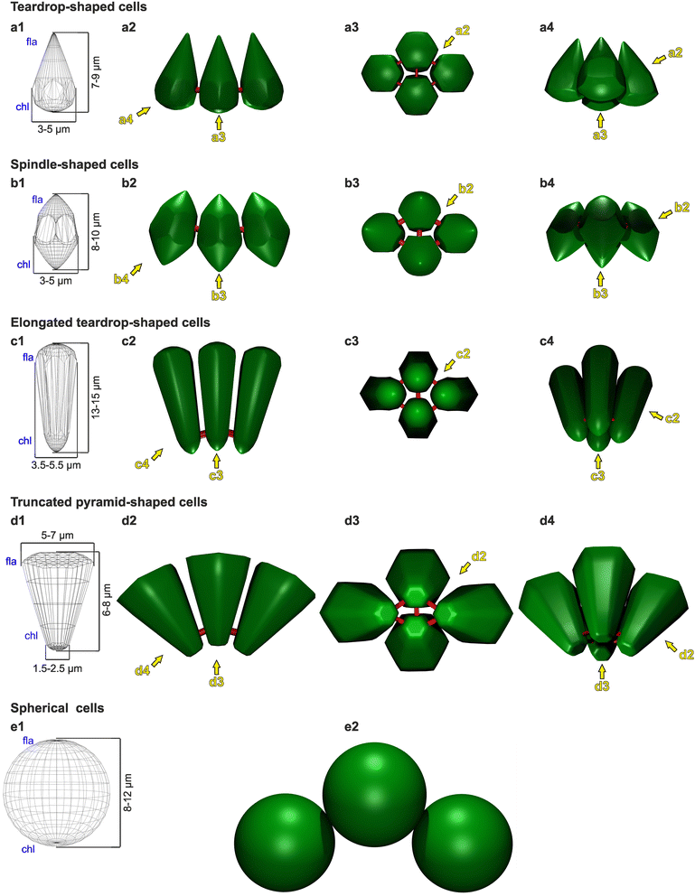 Fig. 10