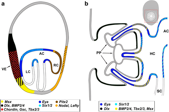 Fig. 5